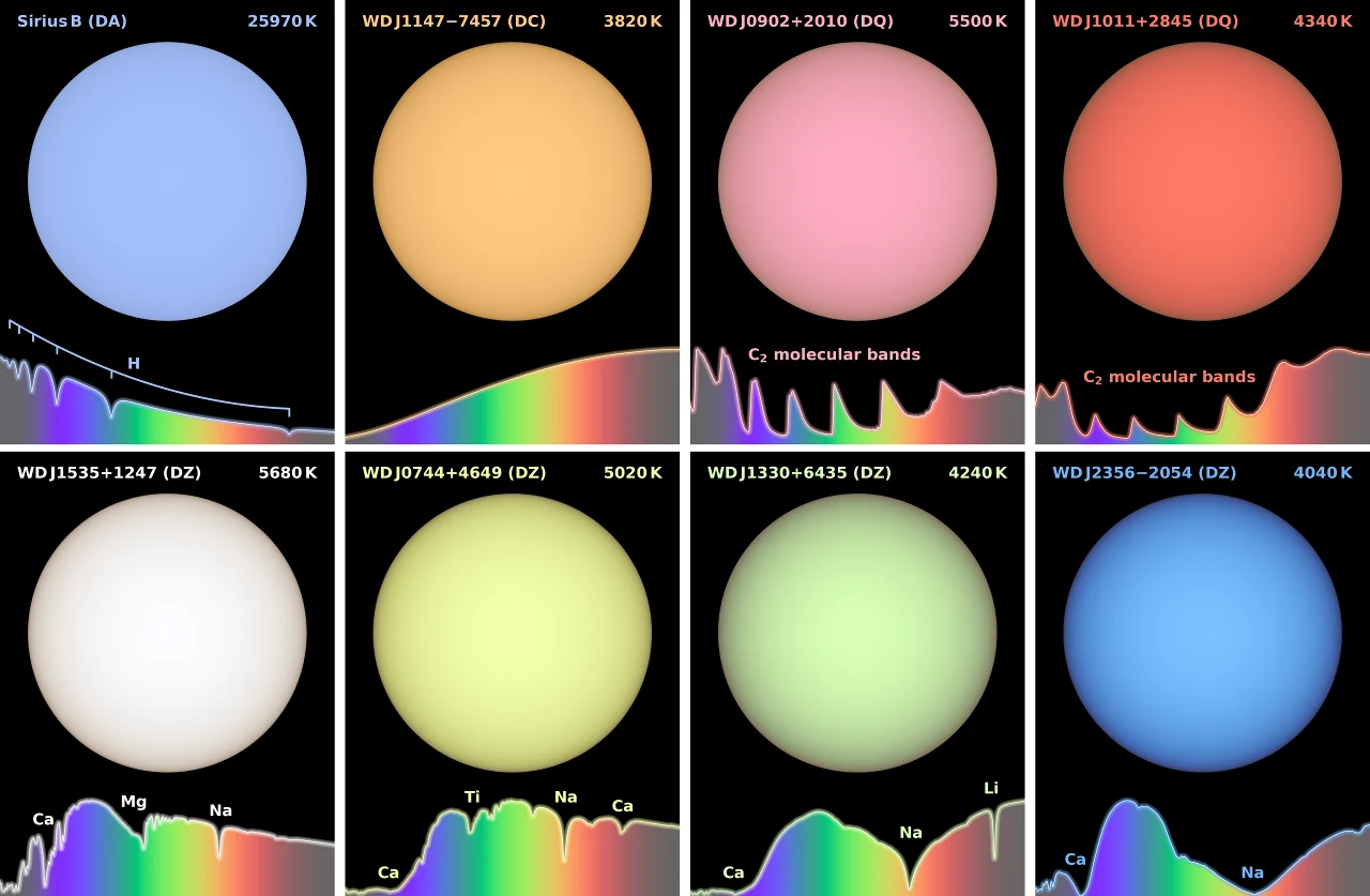 Eight colour-accurate simulated white dwarfs in a grid, each with its spectrum beneath: Sirius B pale blue, WDJ1147-7457 orange, WDJ0902+2010 pink, WDJ1011+2845 salmon red, WDJ1535+1247 white, WDJ0744+4649 pale yellow, WDJ1330+6435 pale green and WDJ2356-2054 blue